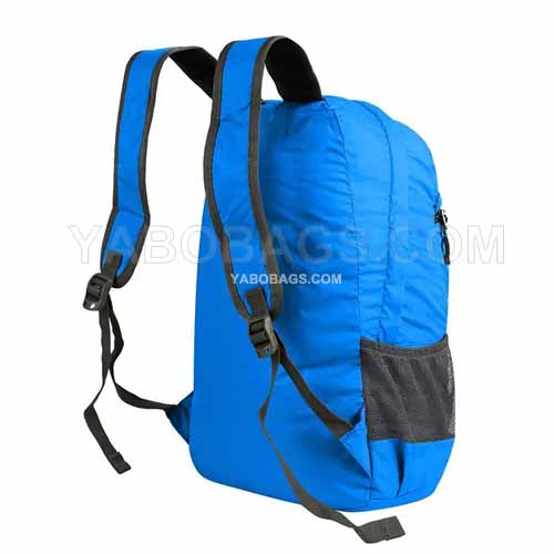 Daypack Backpack