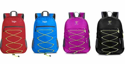 Daypack Backpack