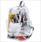 Clear PVC Beach Bag