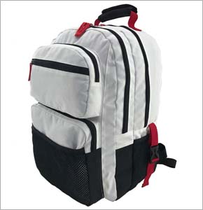 Leisure Backpack