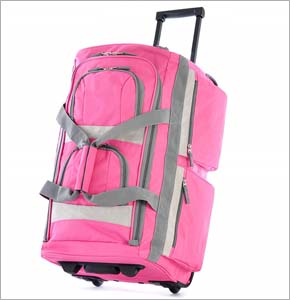 Pink Rolling Bag