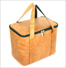 Insulated Cooler Bag