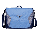 Computer Messenger bag