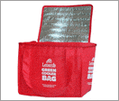 Non Woven Cooler Bag