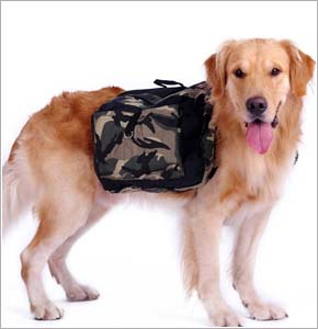 Dog Saddle Backpack