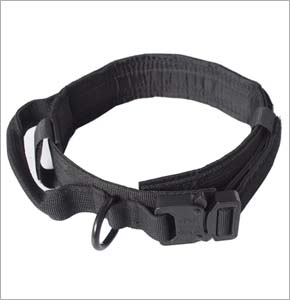 Nylon Dog Collar