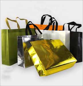 Shopping Bag