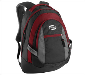Women Laptop Backpack