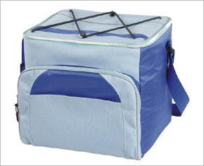 Cooler Bag
