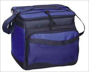 Cooler Bag