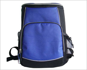 Cheap Cooler Bag